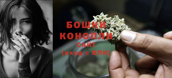 PSILOCYBIN Инсар