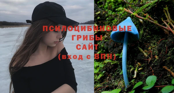 PSILOCYBIN Инсар