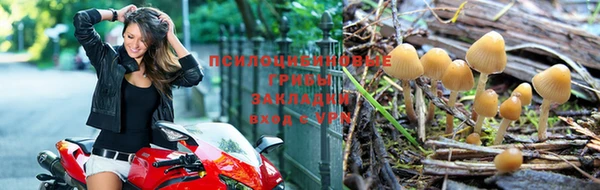 винт Иннополис